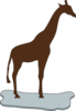 Brown Giraffe Silhouette On Ice Clip Art